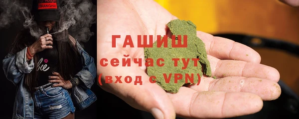 шишки Арсеньев