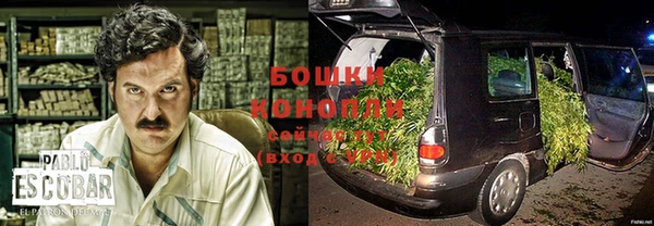 кокс Осташков