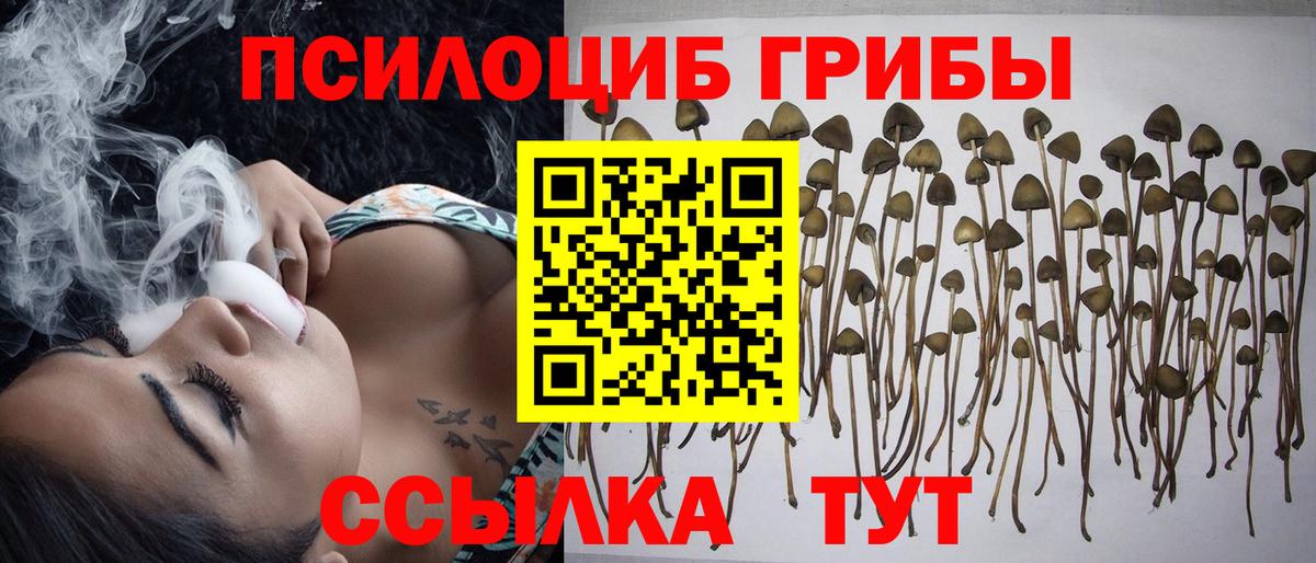 Галлюциногенные грибы GOLDEN TEACHER Курган