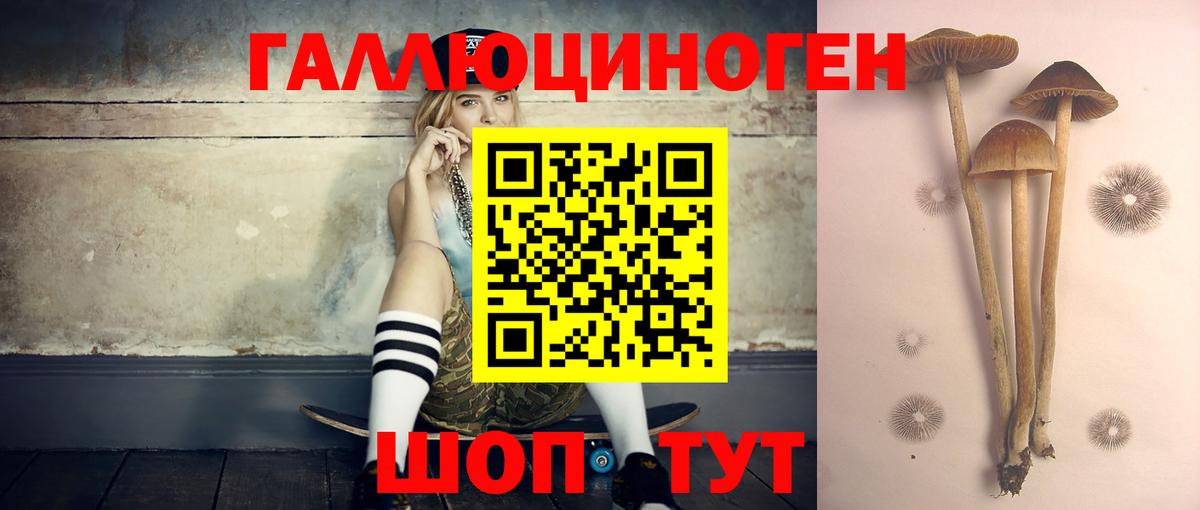 Галлюциногенные грибы ЛСД  Вход с VPN  Галлюциногенные грибы Psilocybe  Курган 